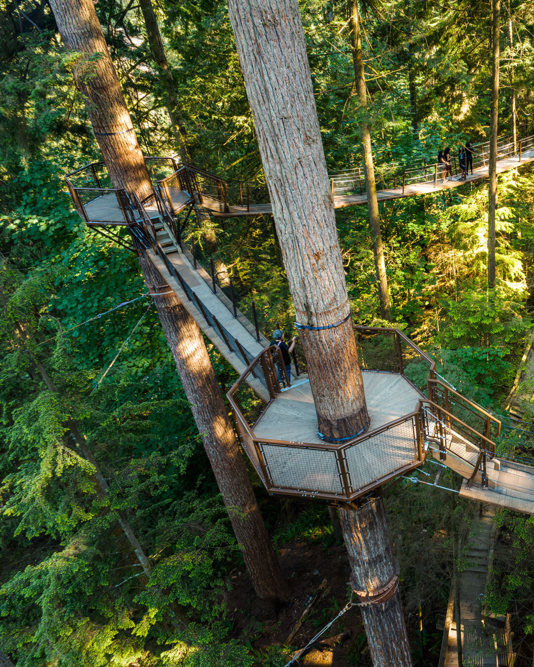 Guest photo at Capilano Suspension Bridge Park