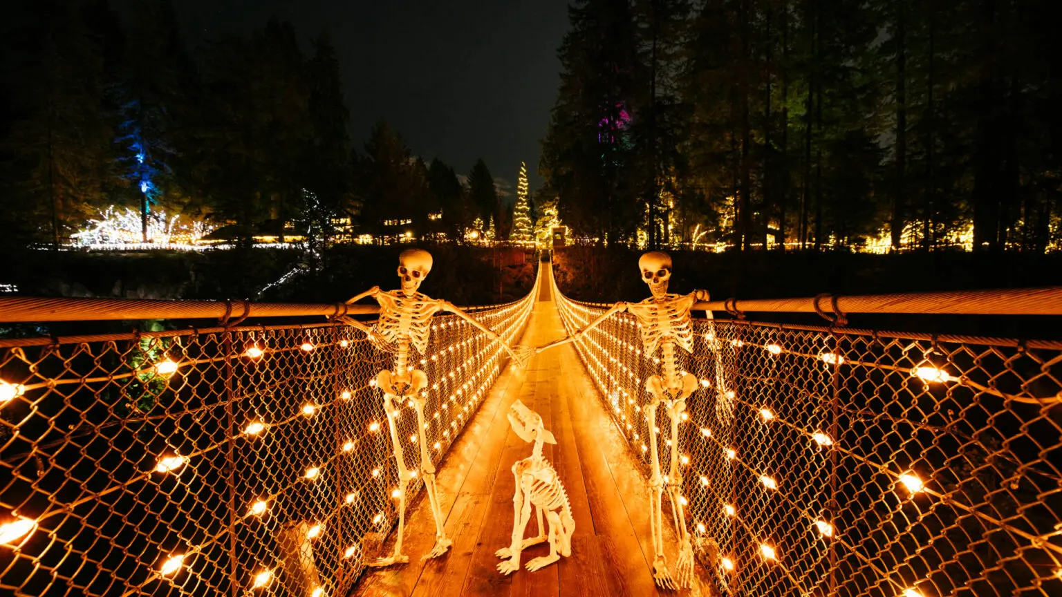 Canyon Frights at Capilano Suspension Bridge Park