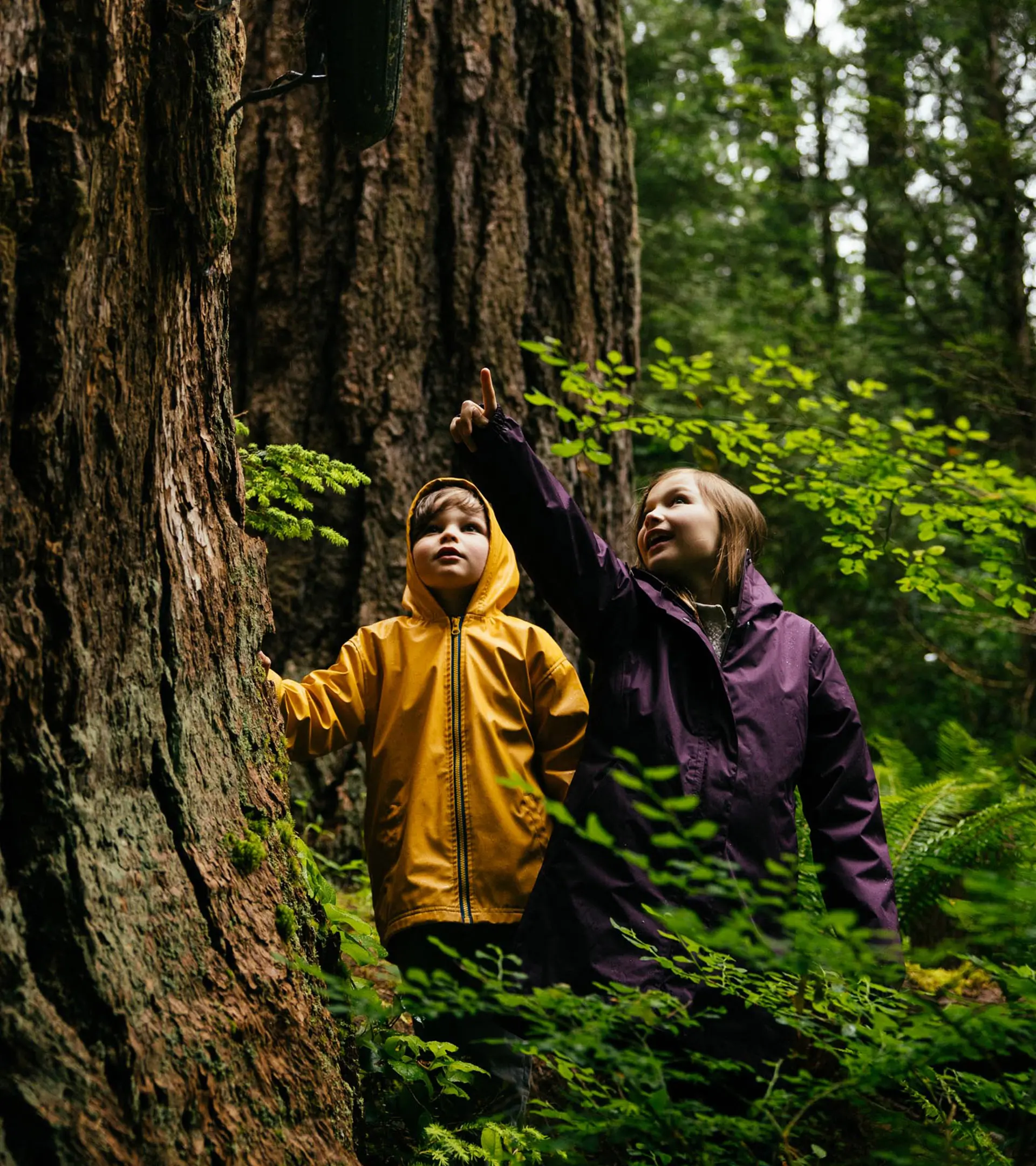 Cap Kids at Capilano Suspension Bridge Park