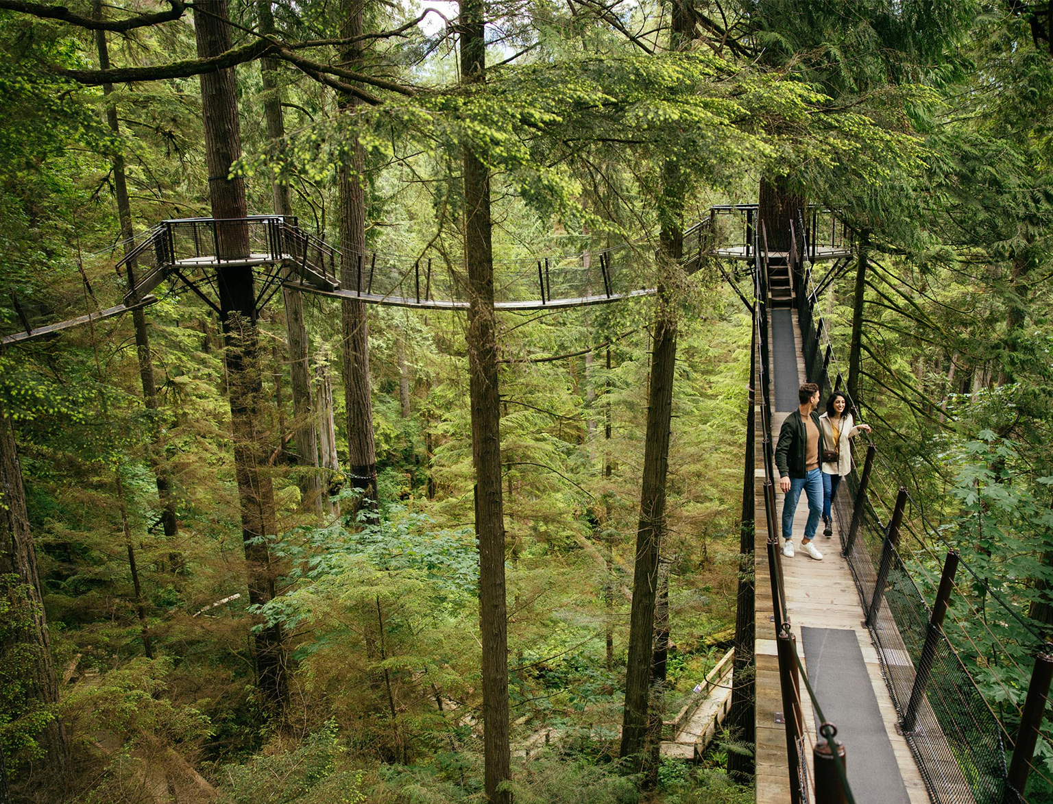 Treetops Adventure at Capilano Suspension Bridge Park